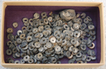 Shell Beads